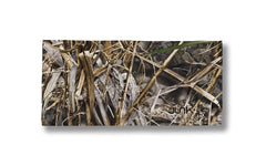 Realtree: Max-7 Big Bang Lite Headband